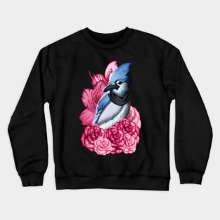 Scarfed Blue Jay Crewneck Sweatshirt